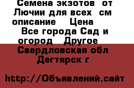 Семена экзотов  от Лючии для всех. см. описание. › Цена ­ 13 - Все города Сад и огород » Другое   . Свердловская обл.,Дегтярск г.
